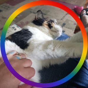 Meet your Posher, Tasha